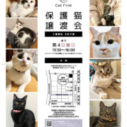 11/24(日) 第70回　Cat First 譲渡会　