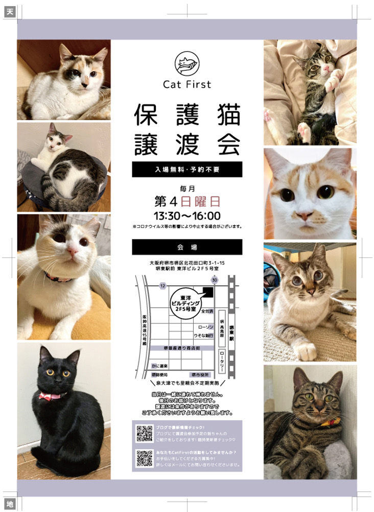 11/24(日) 第70回　Cat First 譲渡会　