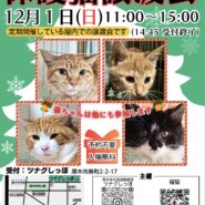 ツナグしっぽde保護猫譲渡会