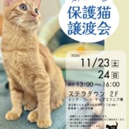 【さいたま市北区】11/23・24　ステラタウン保護猫譲渡会