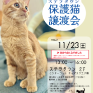 【さいたま市北区】11/23（土）ステラタウン保護猫譲渡会