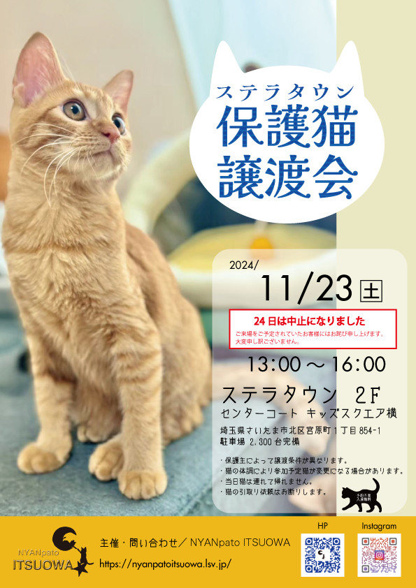 【さいたま市北区】11/23（土）ステラタウン保護猫譲渡会