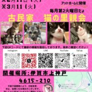 猫の古民家里親会in伊賀❣