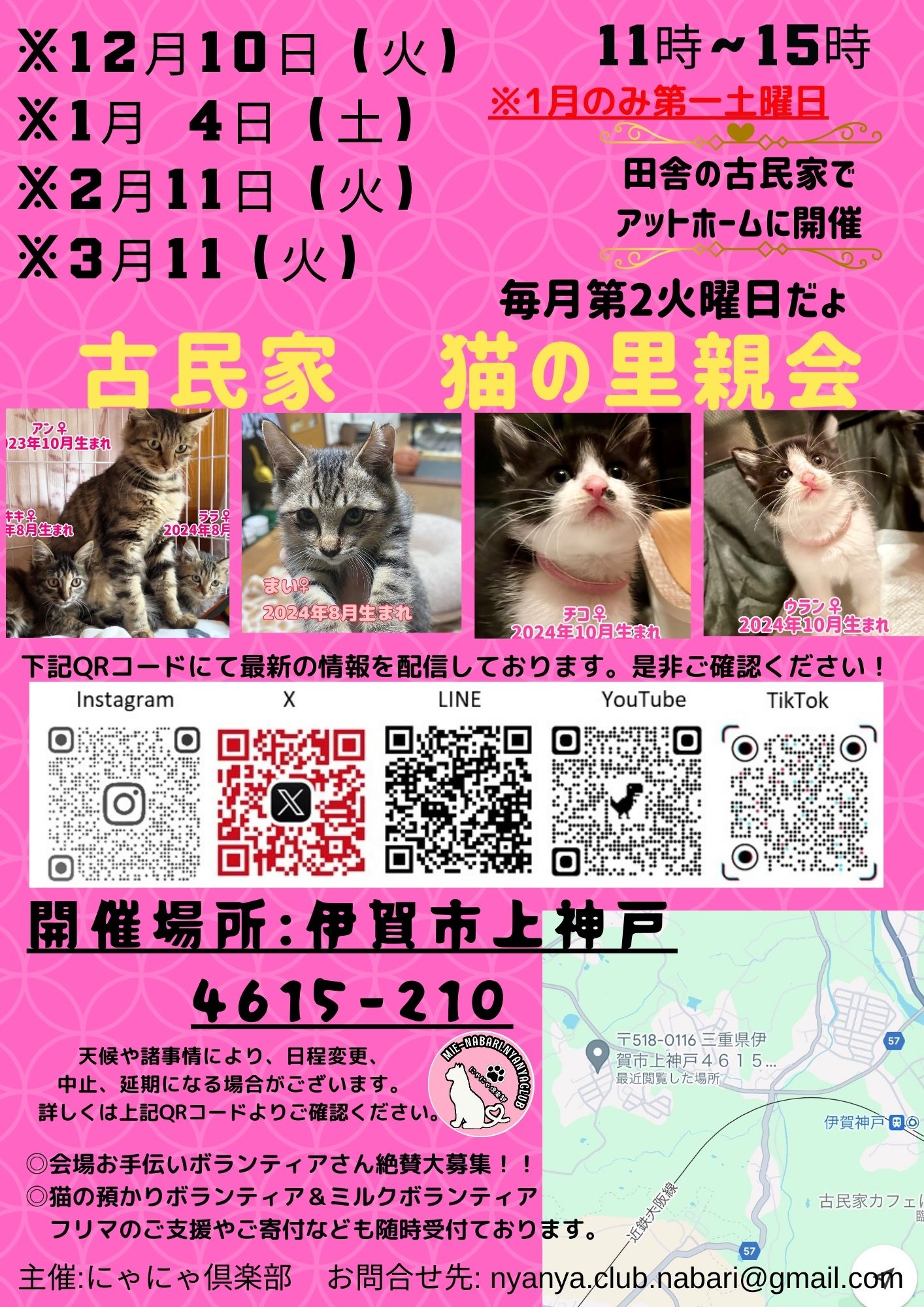 猫の古民家里親会in伊賀❣️