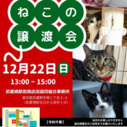 むさしの地域猫の会　譲渡会