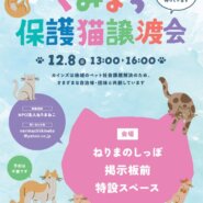 カインズ練馬・保護猫譲渡会