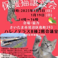 【さいたま市】1/5(日)ハレノテラス保護猫譲渡会