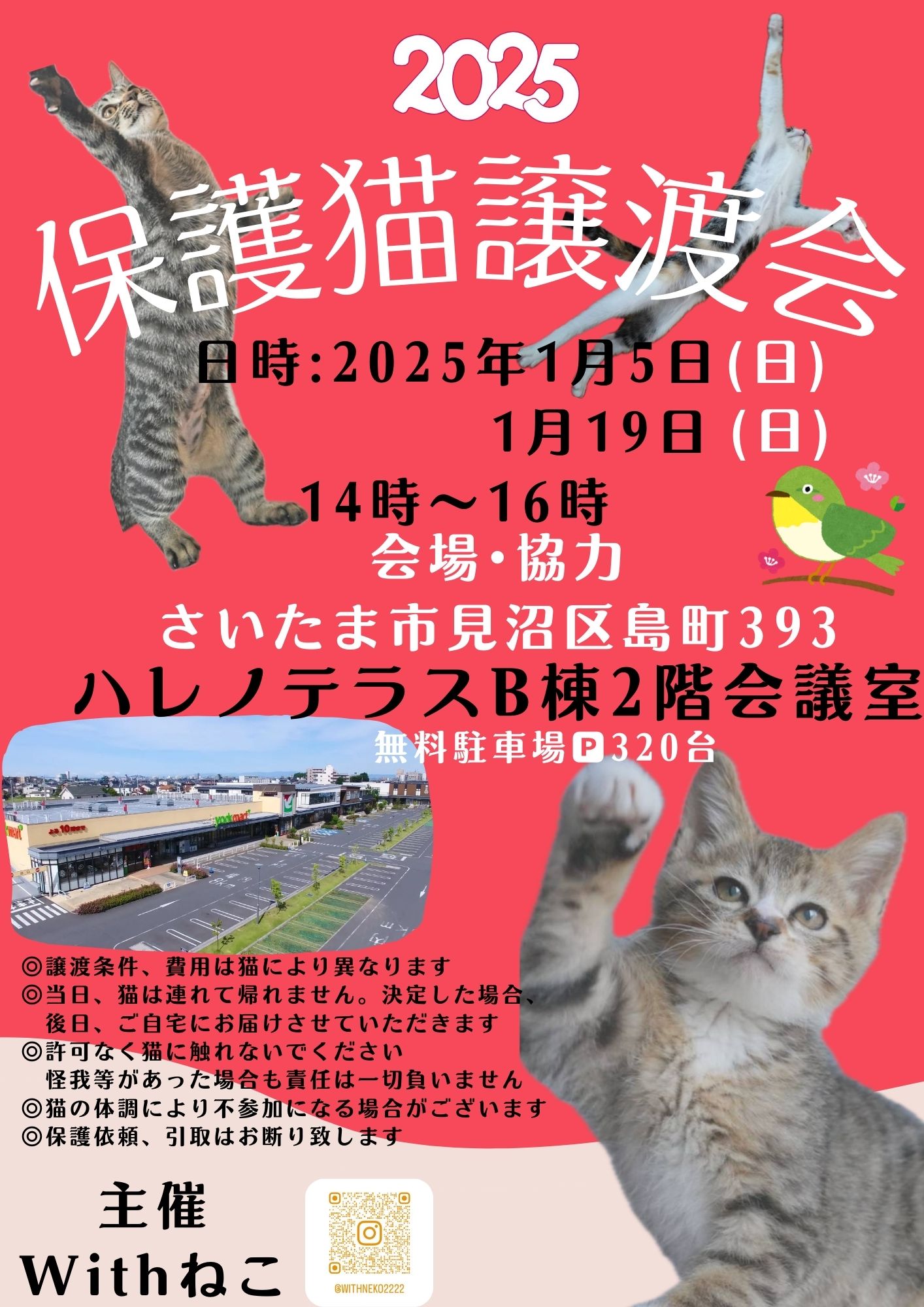 【さいたま市】1/5(日)ハレノテラス保護猫譲渡会