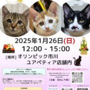 花ねこ譲渡会