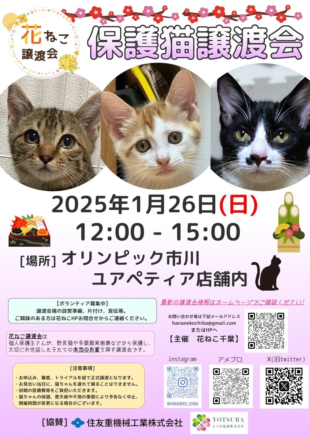 花ねこ譲渡会