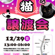 ほごねこ東京譲渡会in駒込