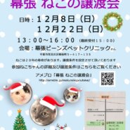 幕張ねこの譲渡会