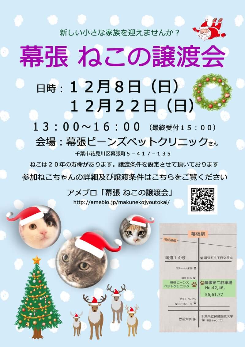 幕張ねこの譲渡会