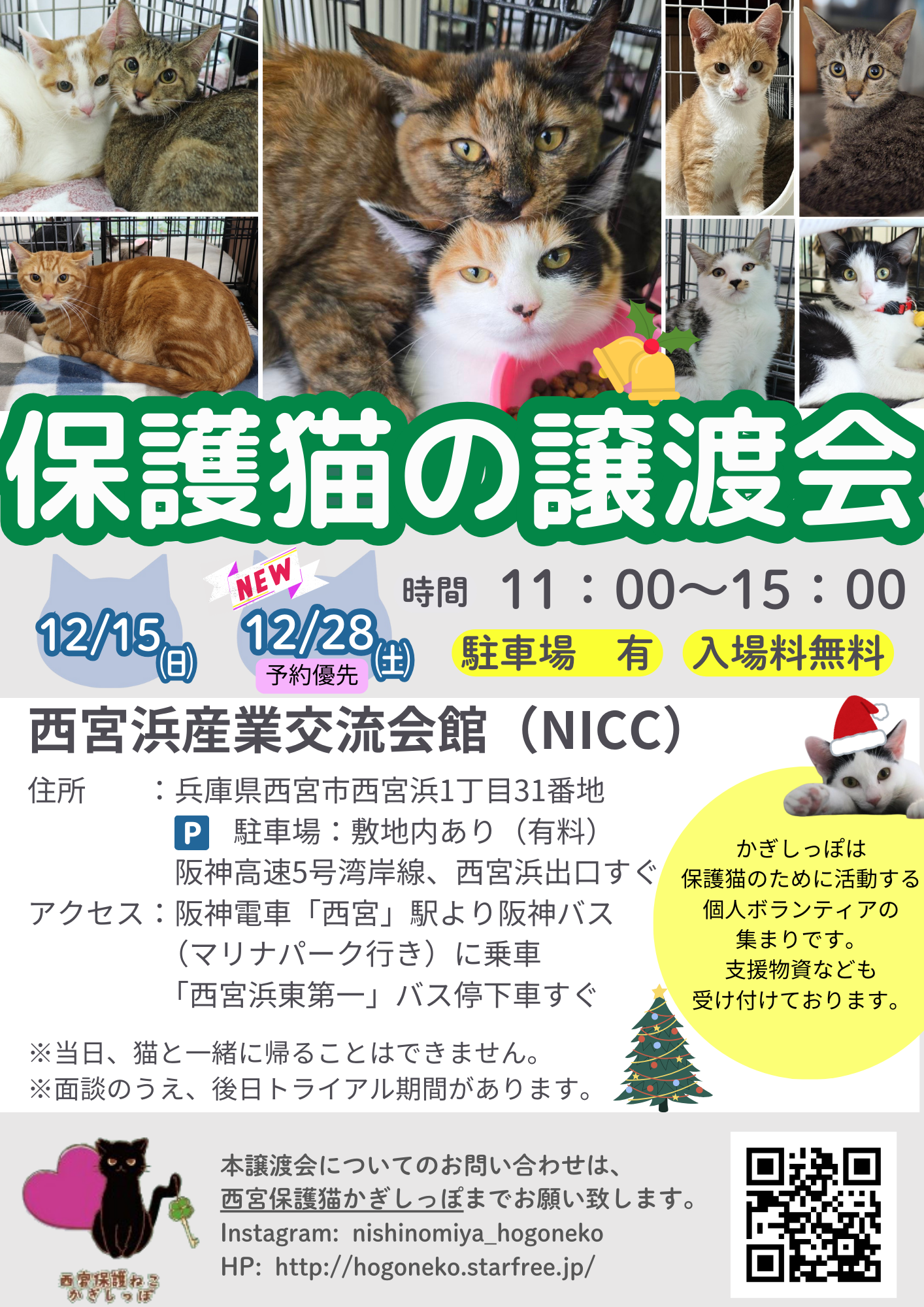 西宮保護ねこ かぎしっぽ主催譲渡会