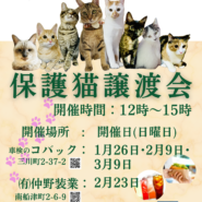 保護猫譲渡会in(有)仲野装業