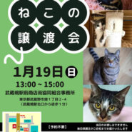 むさしの地域猫の会　譲渡会