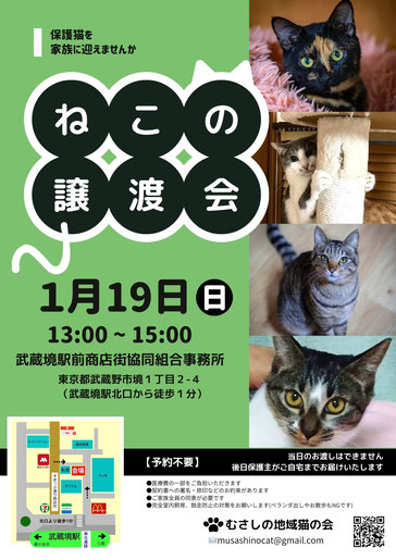 むさしの地域猫の会　譲渡会