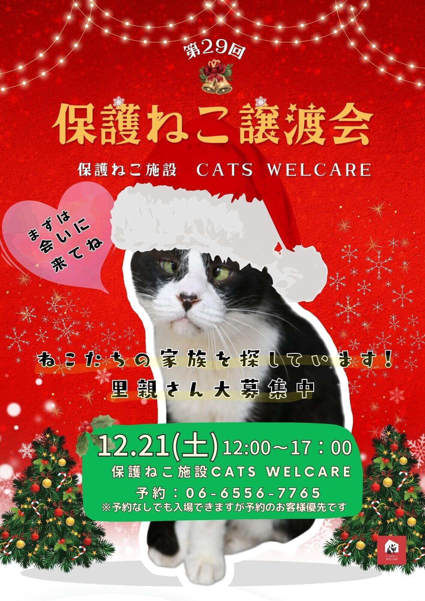 キャッツウェルケア ふれあえる譲渡会 in 大阪市