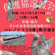 【さいたま市見沼区】1/19(日)ハレノテラス保護猫譲渡会