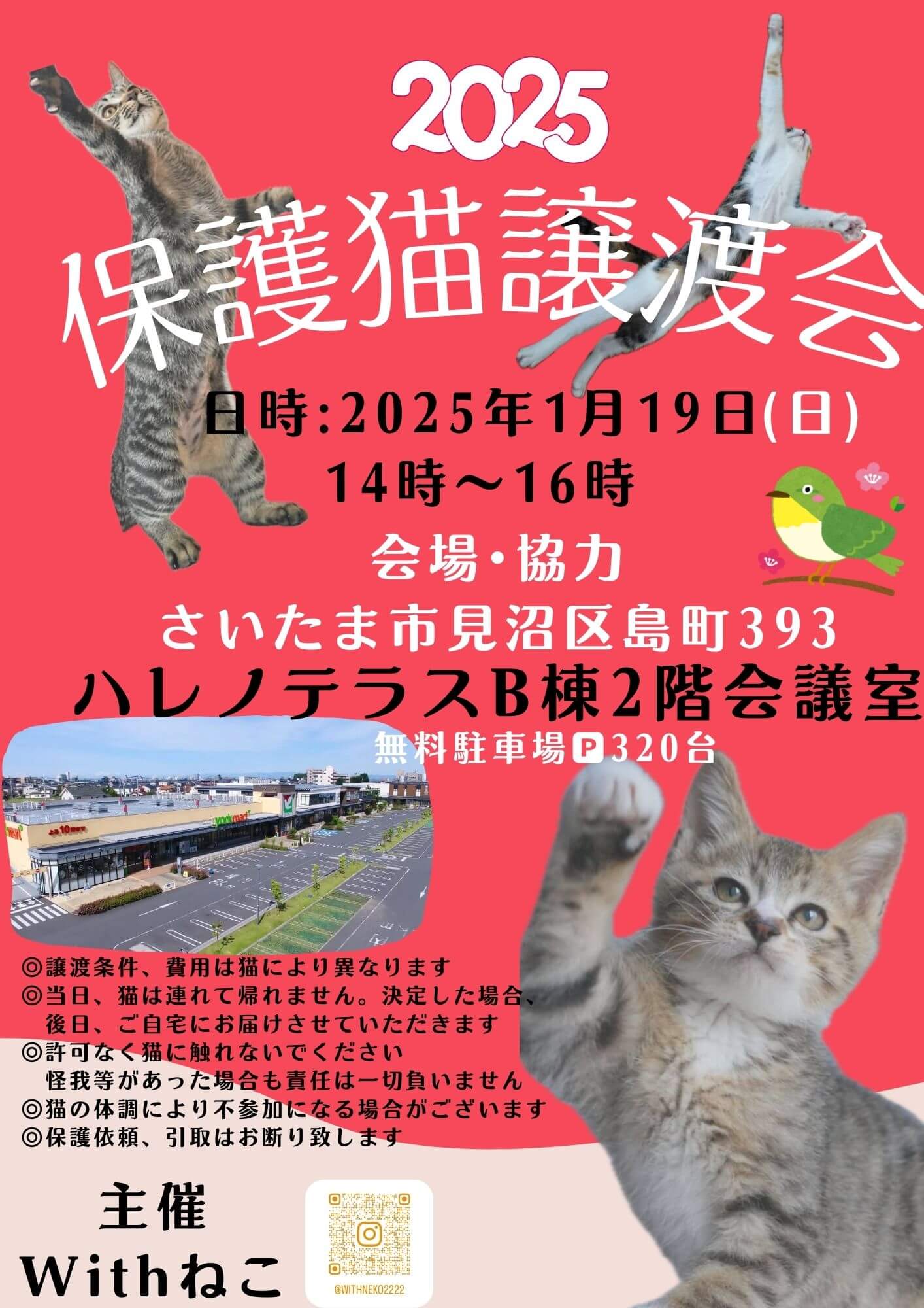 【さいたま市見沼区】1/19(日)ハレノテラス保護猫譲渡会