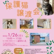 【さいたま市西区】1/26(日)猫専門病院「ぽのいえ」保護猫譲渡会