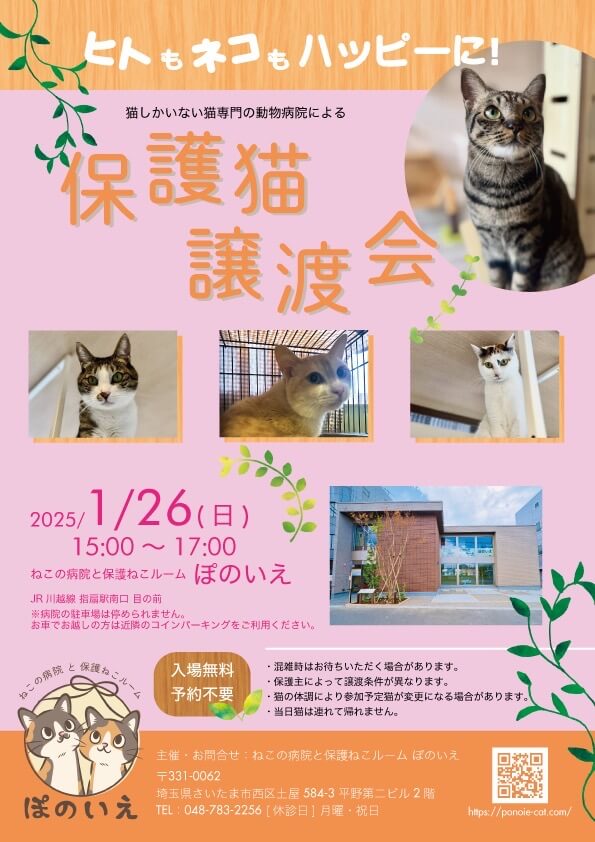 【さいたま市西区】1/26(日)猫専門病院「ぽのいえ」保護猫譲渡会