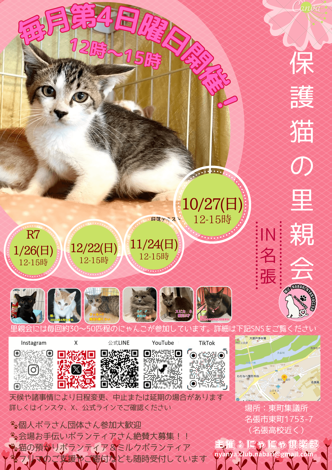 猫の里親会in名張❣️