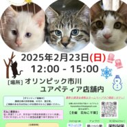 花ねこ譲渡会