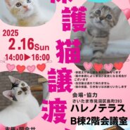 【さいたま市見沼区】2/16(日)ハレノテラス保護猫譲渡会