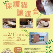 【さいたま市西区】2/11㊗猫専門病院「ぽのいえ」保護猫譲渡会