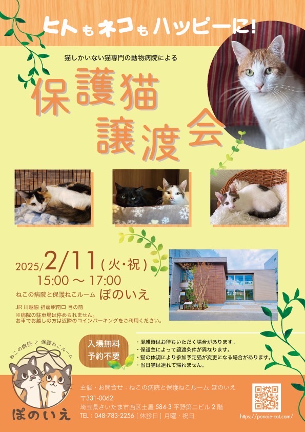 【さいたま市西区】2/11㊗猫専門病院「ぽのいえ」保護猫譲渡会