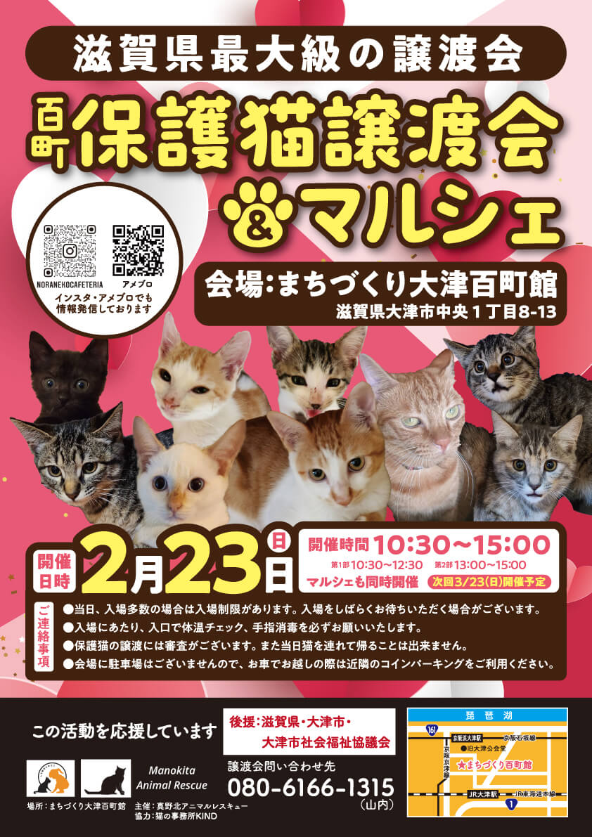 百町保護猫譲渡会＆マルシェ