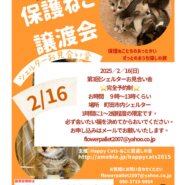 HappyCats〜ねこに恩返し〜保護ねこ譲渡会