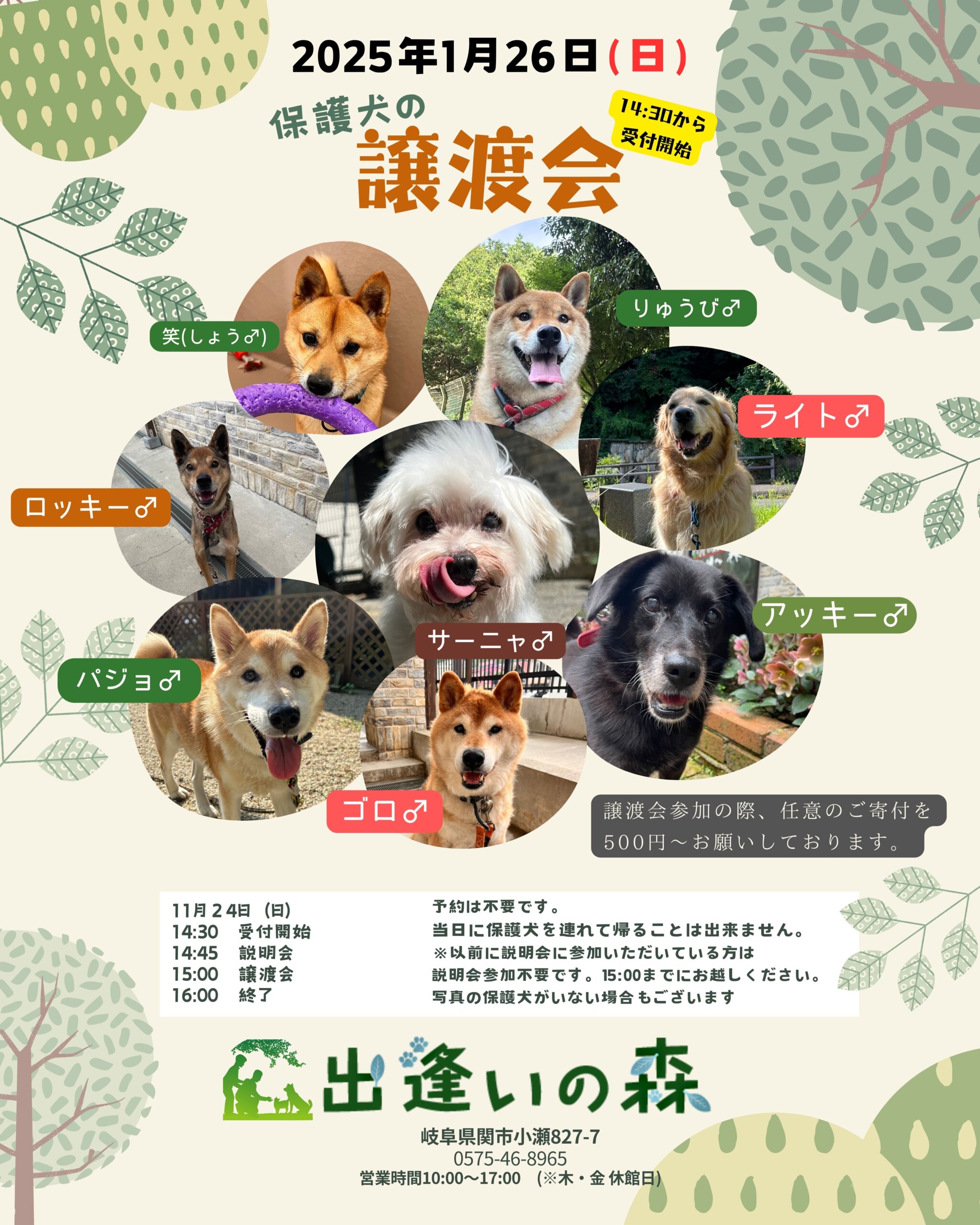 岐阜県関市の保護犬譲渡会🐾