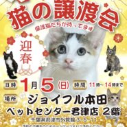 【君津市】保護猫の譲渡会