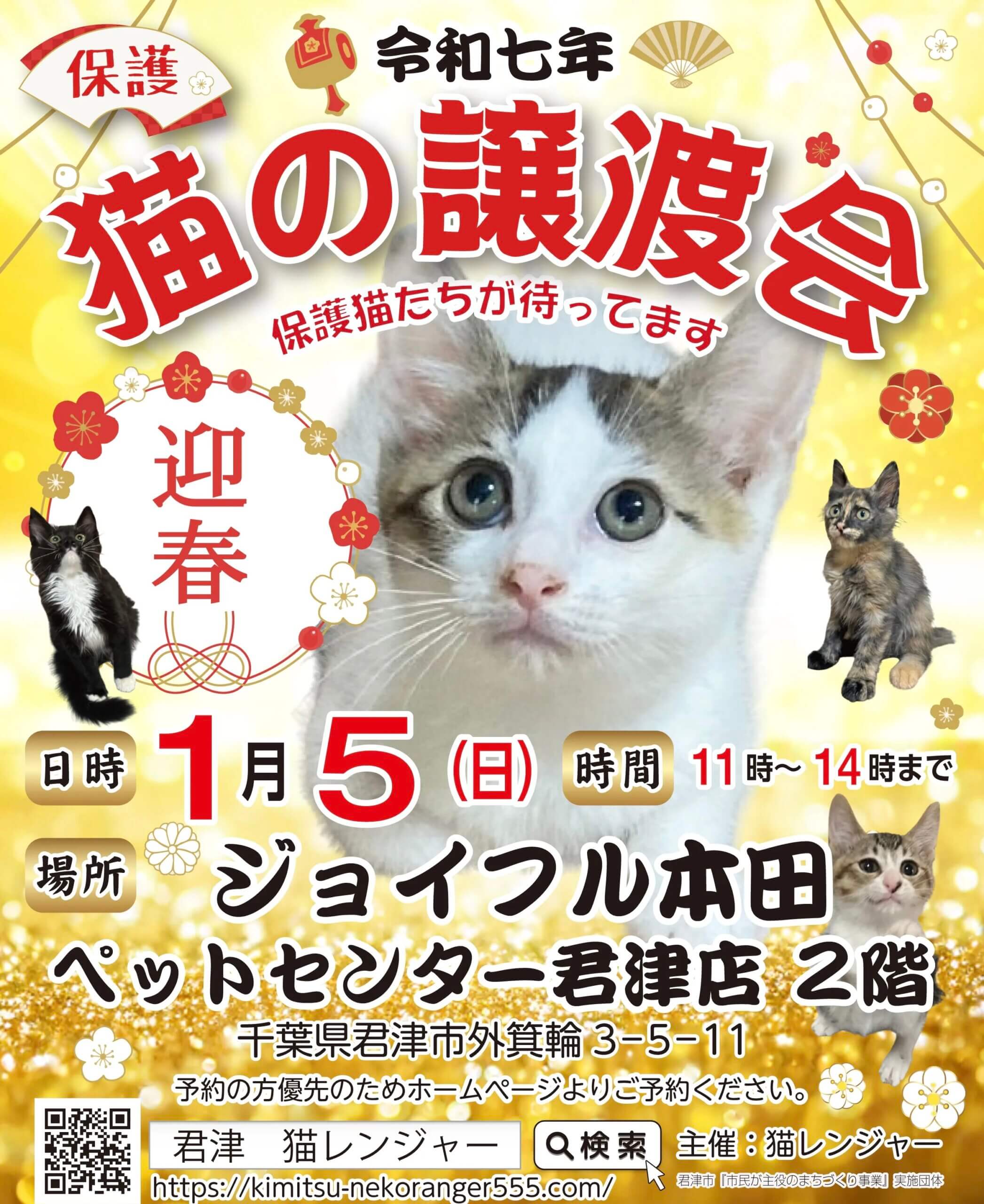 【君津市】保護猫の譲渡会