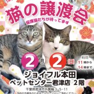 【君津市】保護猫の譲渡会