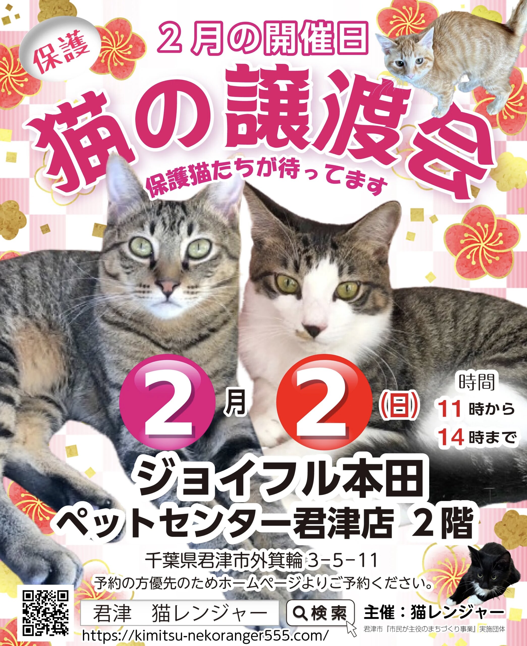 【君津市】保護猫の譲渡会