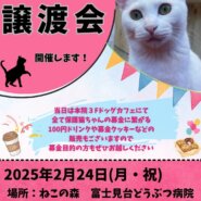 ねこの森保護猫譲渡会