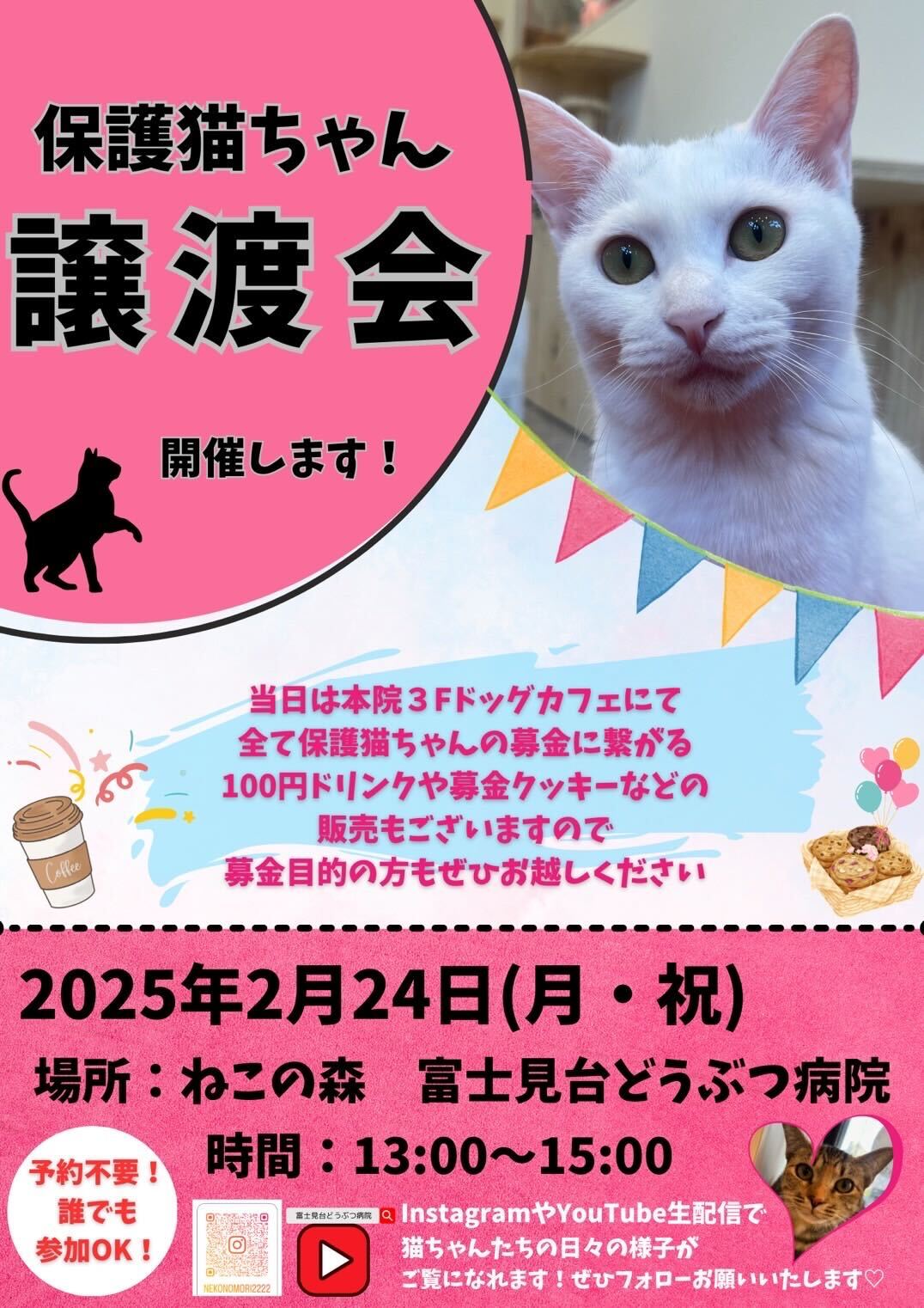 ねこの森保護猫譲渡会