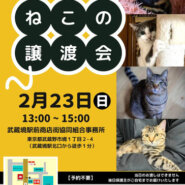 むさしの地域猫の会　譲渡会