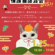 ふれあえる譲渡会 in大阪市