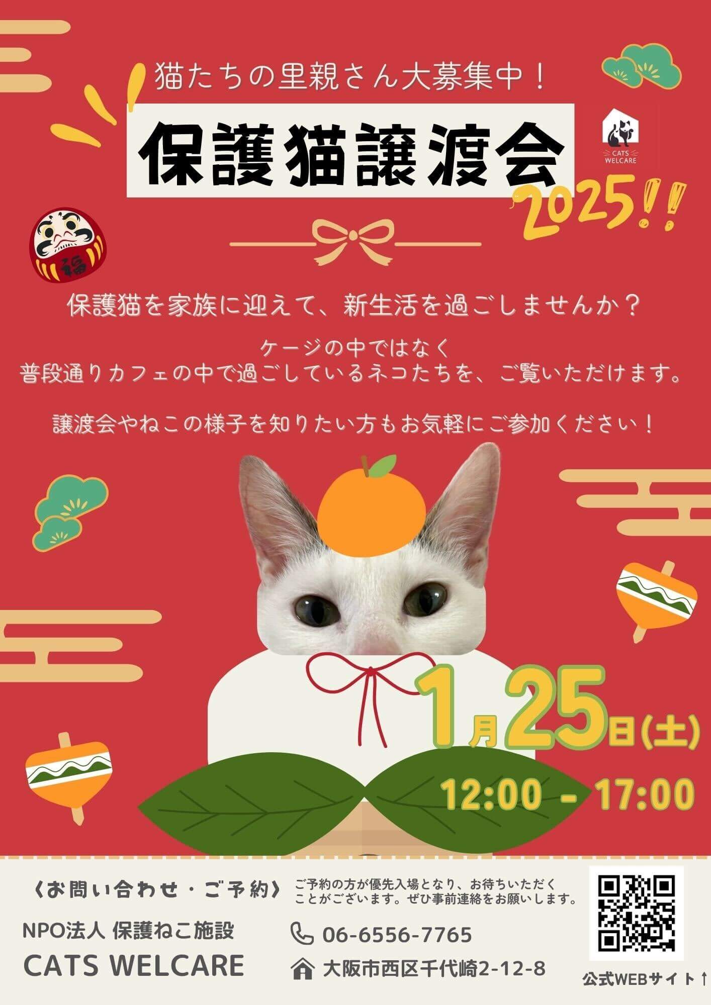 ふれあえる譲渡会 in大阪市