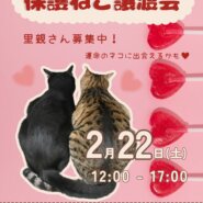 ふれあえる譲渡会 in大阪市