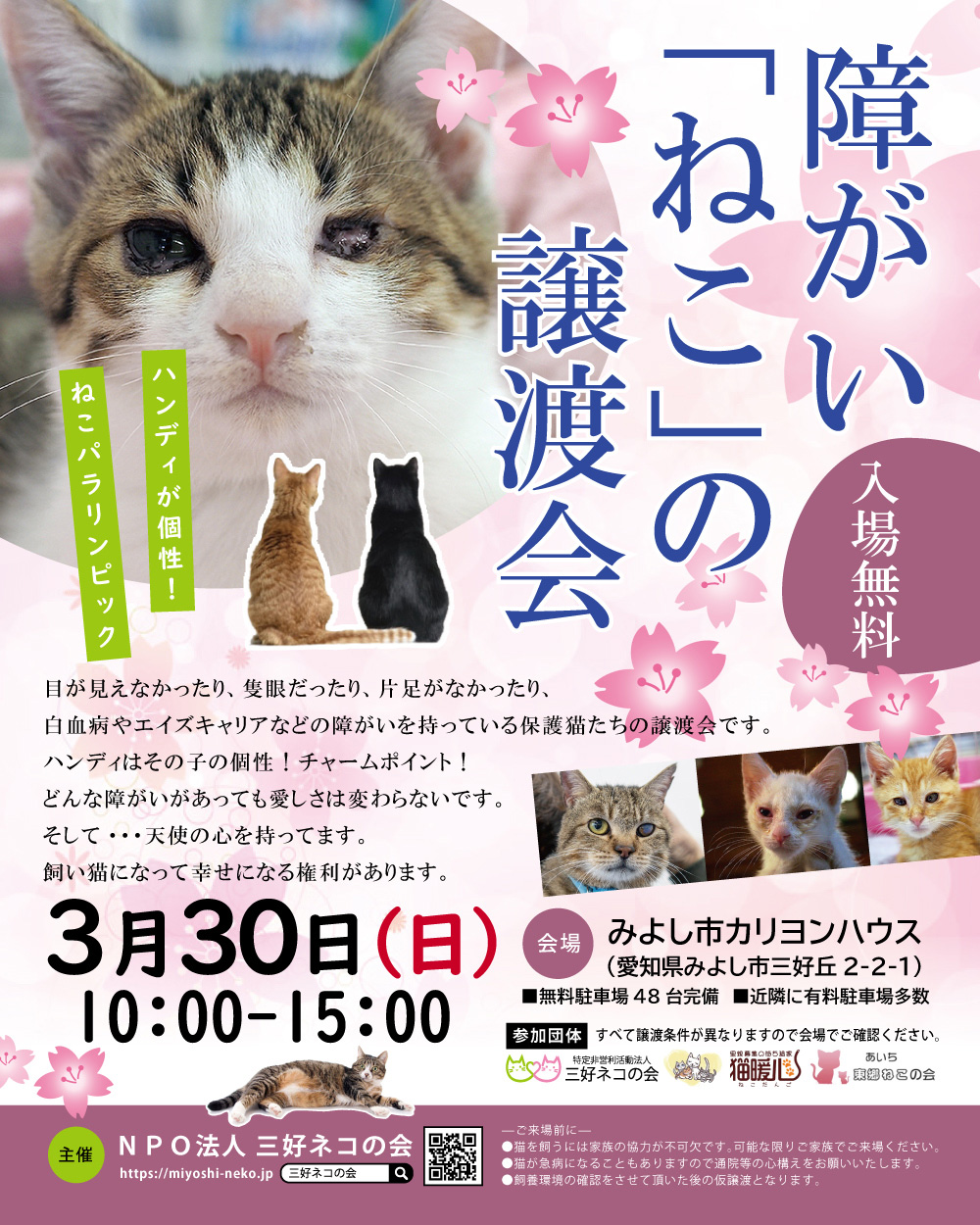 障がい「ねこ」の譲渡会開催決定★みよし市