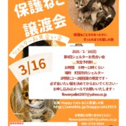 HappyCats〜ねこに恩返し〜保護ねこ譲渡会