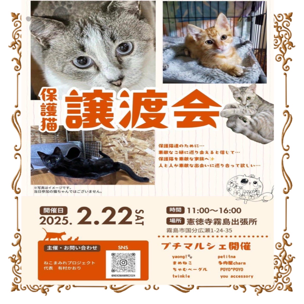 保護猫讓渡会&プチマルシェ