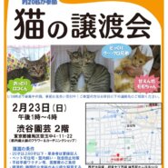 猫の譲渡会、渋谷園芸・練馬本店