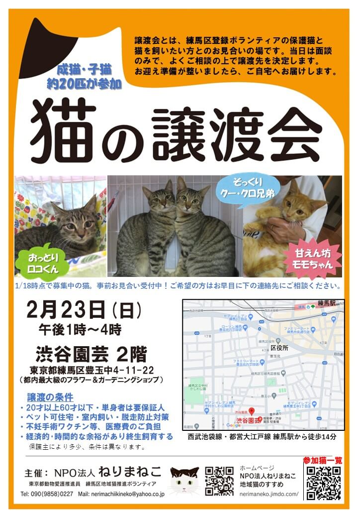 猫の譲渡会、渋谷園芸・練馬本店