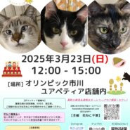 花ねこ譲渡会